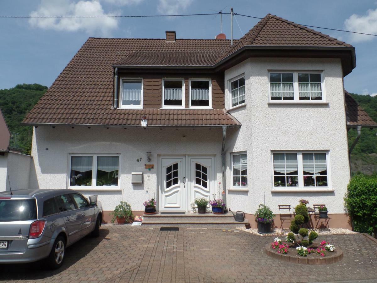 Ferienwohnung Erz Burgen  Esterno foto